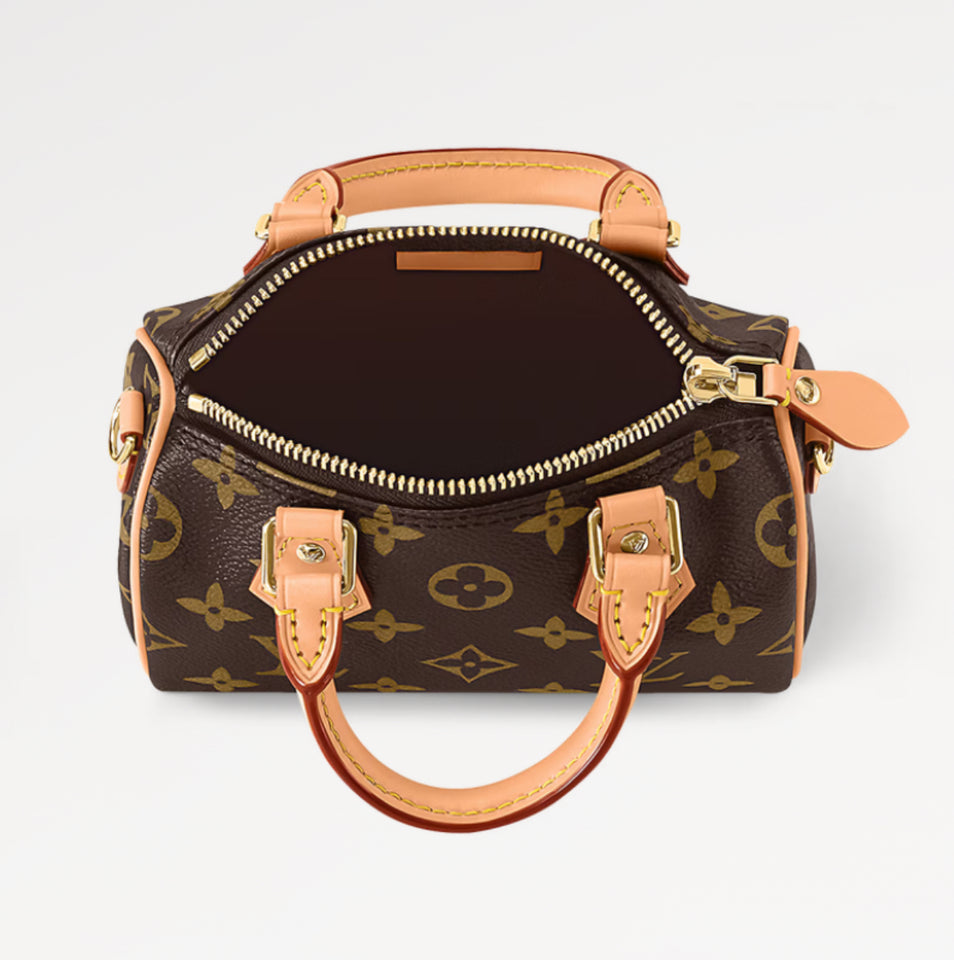 Louis Vuitton Monogram Nano Speedy Bag