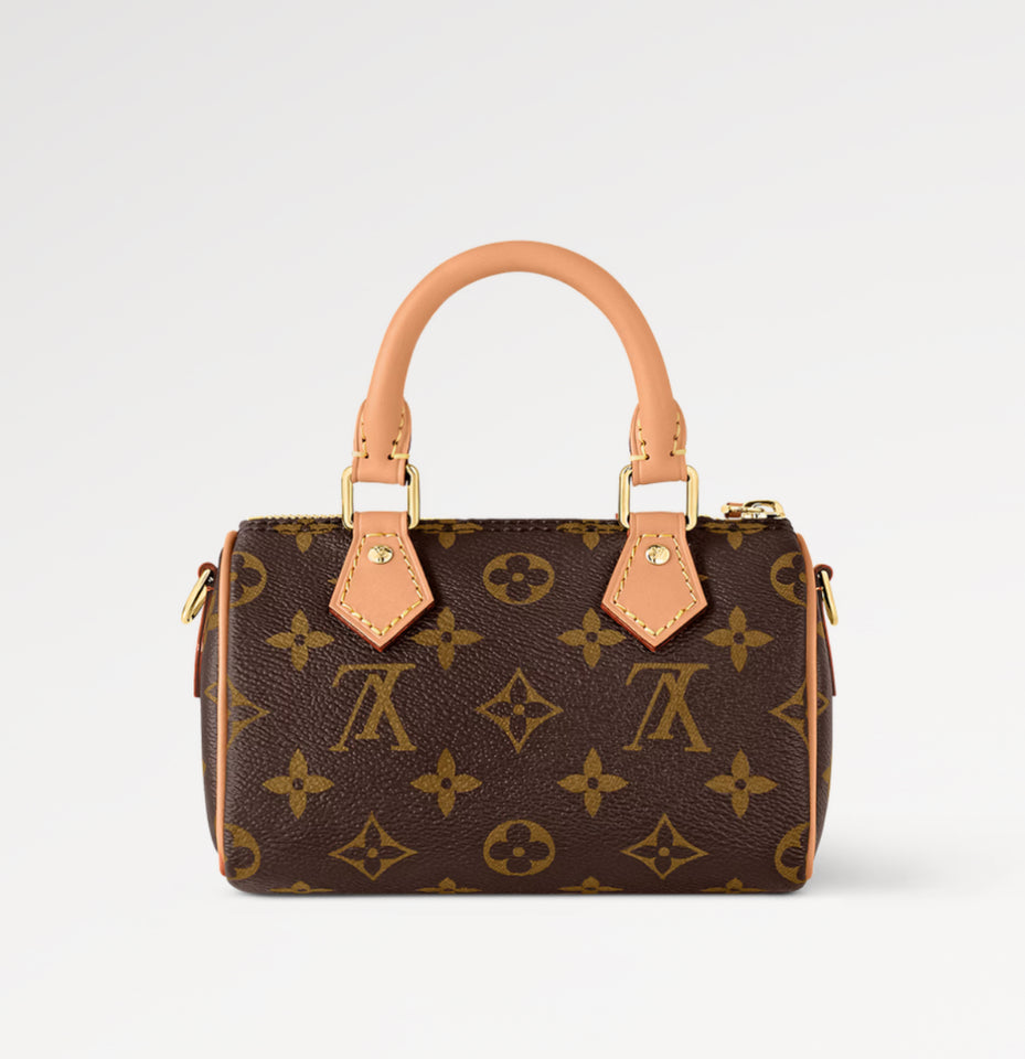 Louis Vuitton Monogram Nano Speedy Bag