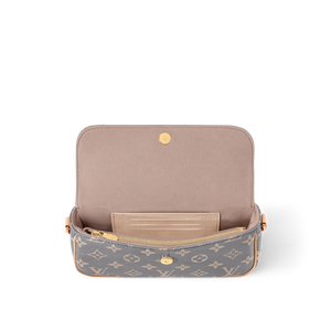 Louis vuitton Wallet on Chain Ivy
