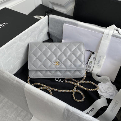 Chanel Woc Silver