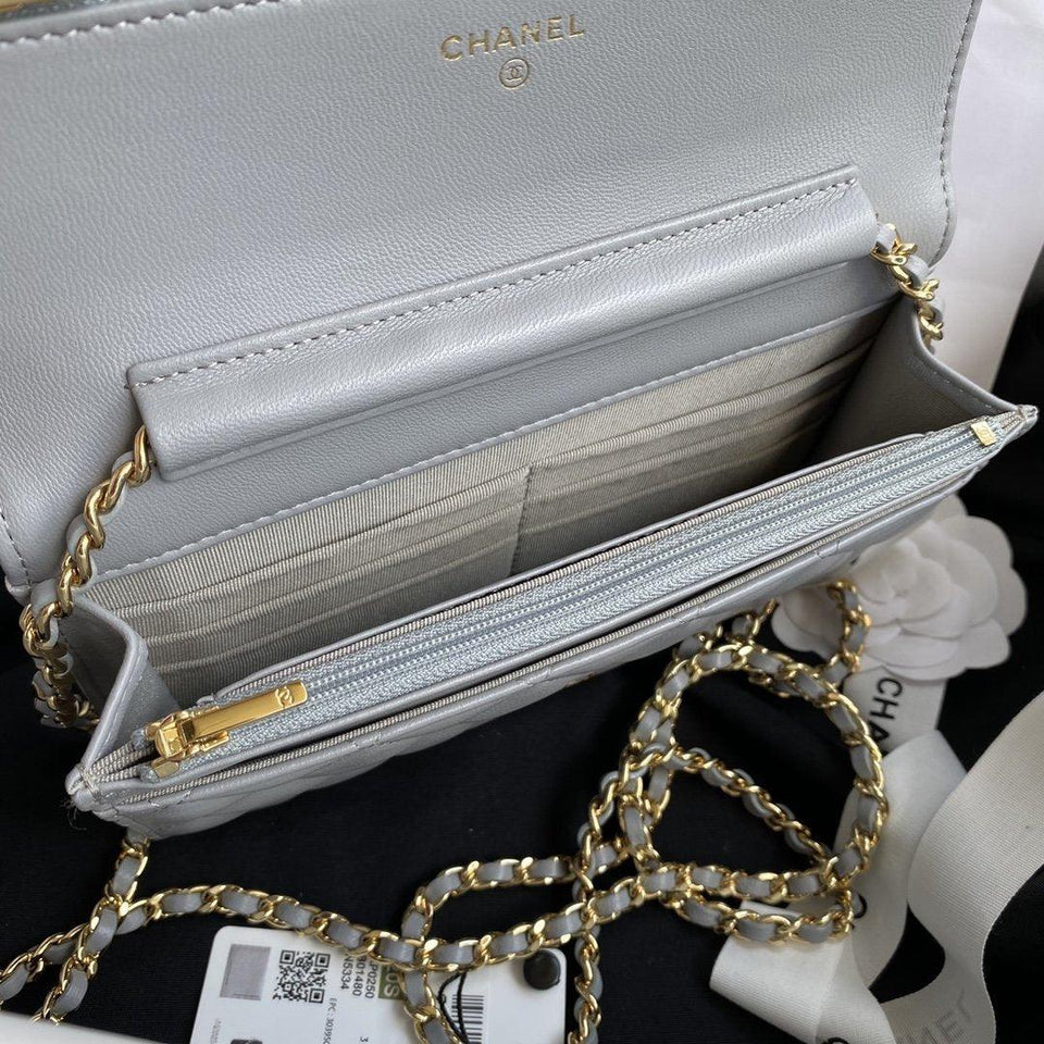 Chanel Woc Silver