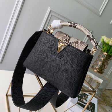 Louis Vuitton CAPUCINES Mini