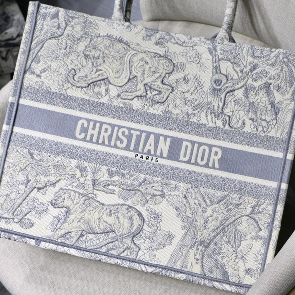 DIOR BOOK TOTE