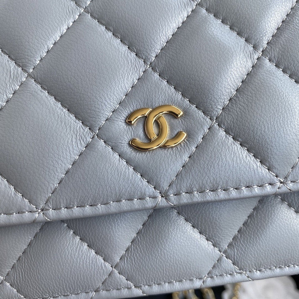 Chanel Woc Silver