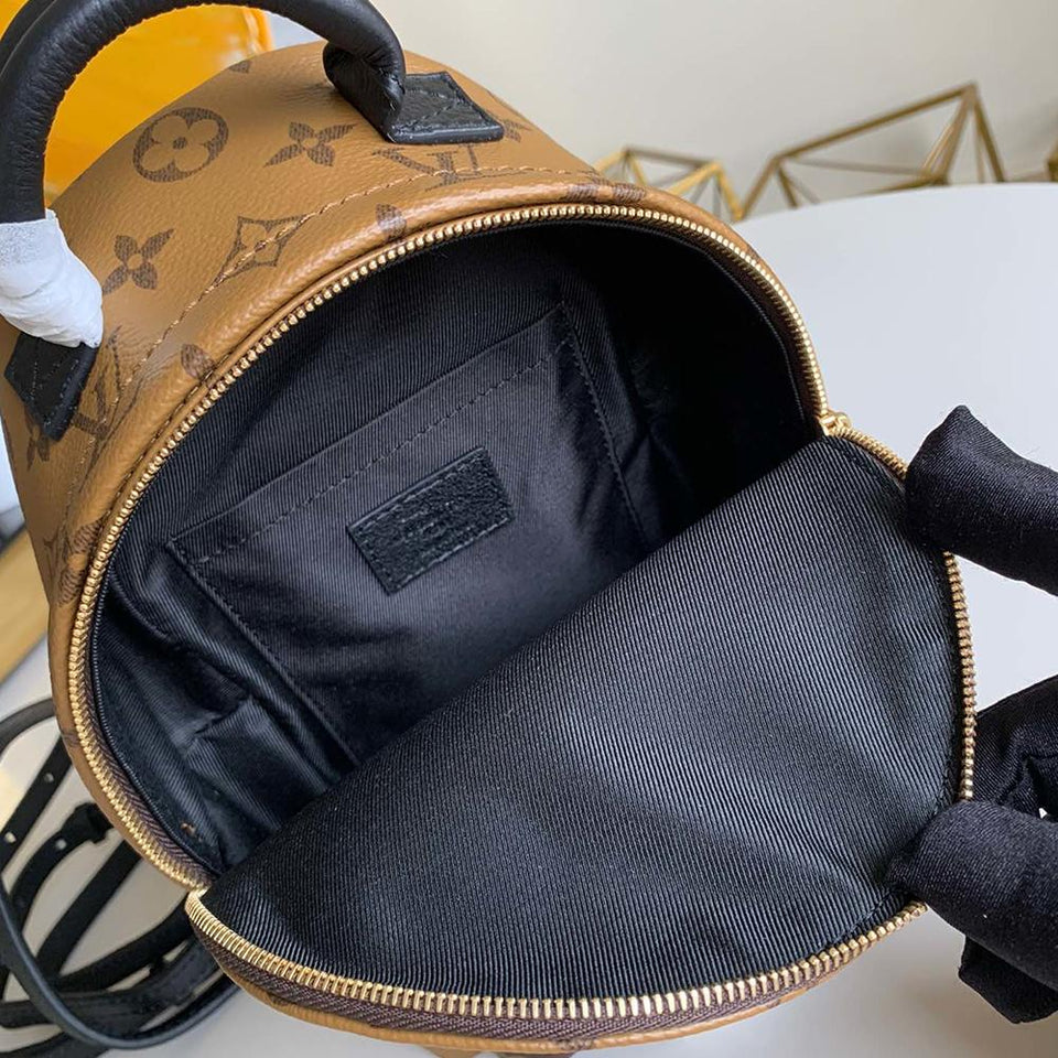 Louis Vuitton backpack palm springs mini