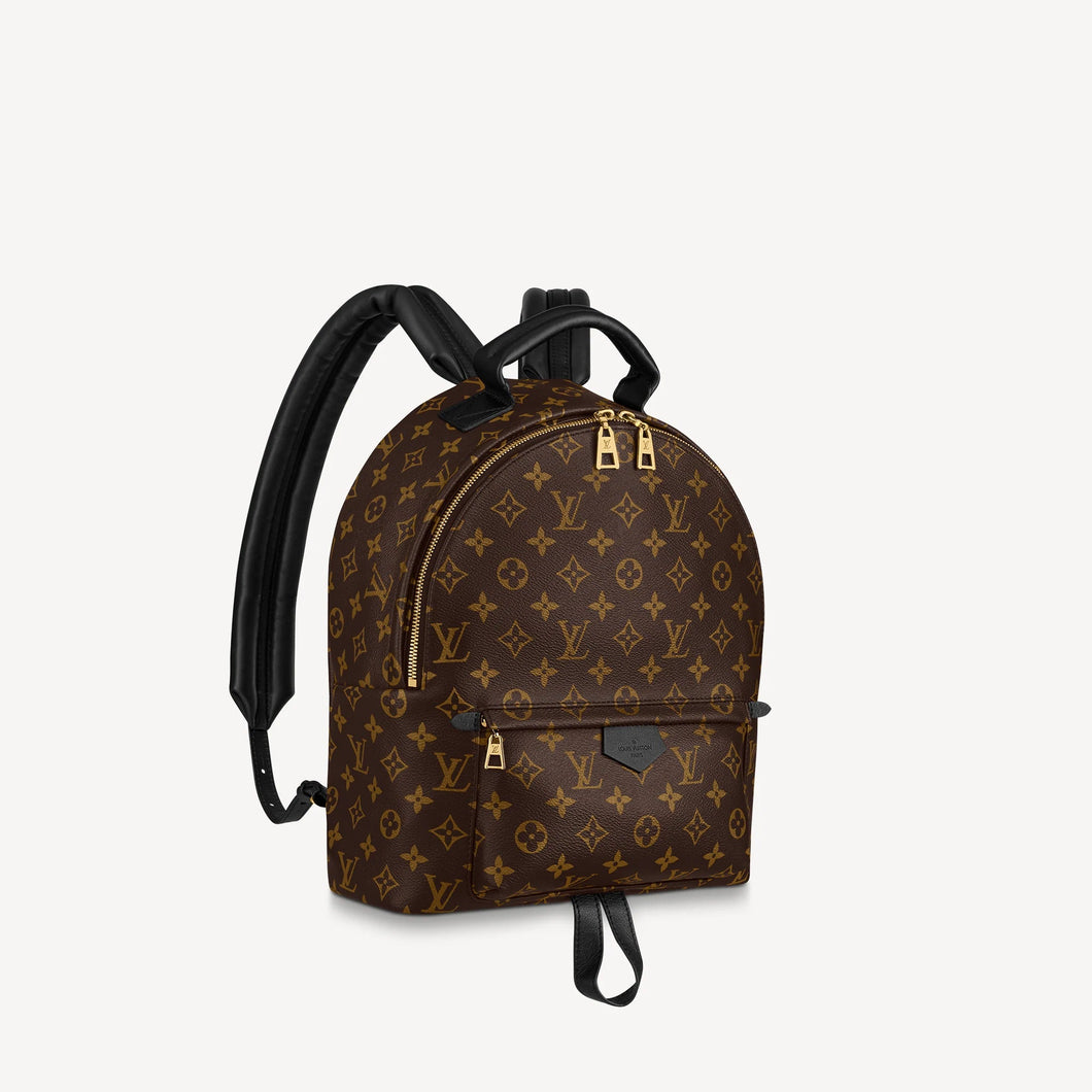 Louis Vuitton palm Springs MM Backpack