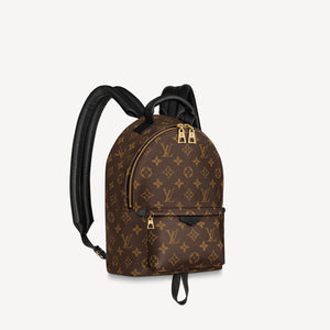 Louis Vuitton palm Springs MM Backpack
